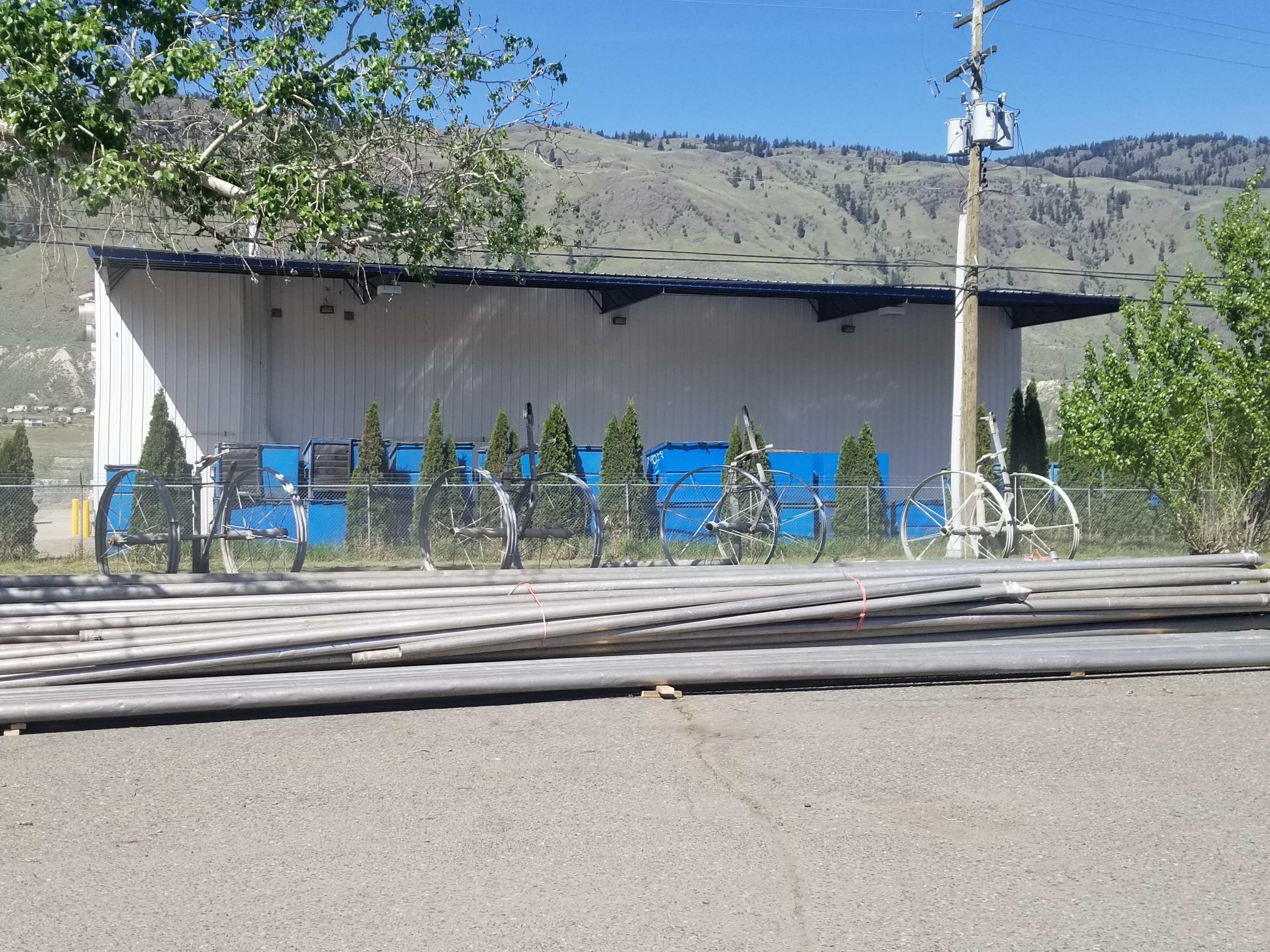 BC Livestock Sale Image